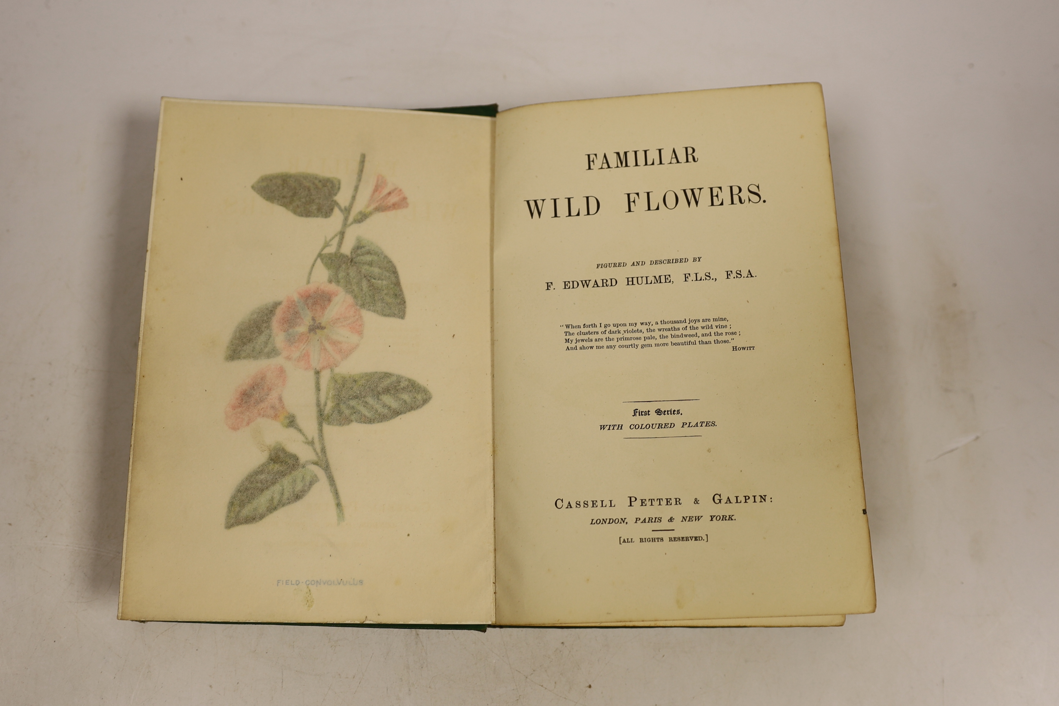 Hibberd, Shirley - The Amateur's Rose Book, comprising the Cultivation of the Rose....new edition, revised and enlarged. coloured folded plates and other illus.; original gilt decorated cloth, cr. 8vo. 1874